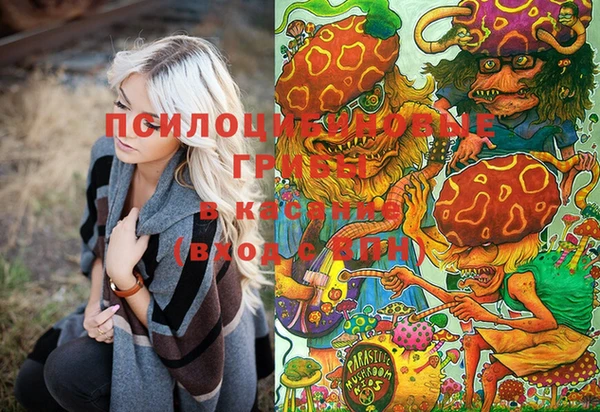 кокс Алзамай