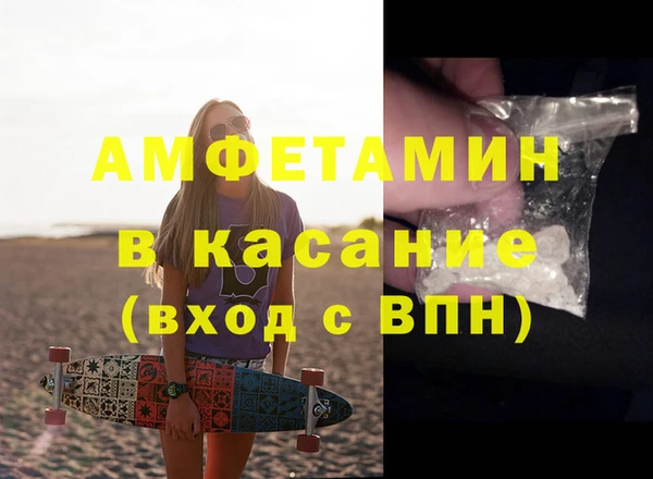 индика Абаза